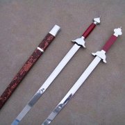 <b>陈正雷老师陈氏太极双剑教学</b>