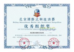 优秀组织奖