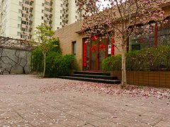 小院